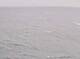 AIDAbella 24.06.2025 07:11