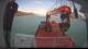 Minik Arctica 01.07.2025 07:12