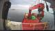 Minik Arctica 15.06.2025 07:12