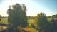 Mandelsloh 17.04.2025 07:12