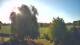Mandelsloh 11.05.2025 07:12