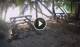 Anse Parnel (Mahé) 30.04.2025 07:13
