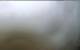 Iona 09.05.2025 07:27
