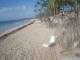 Punta Cana 14.05.2025 07:13