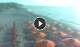 Otranto 09.06.2025 07:13