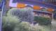 Bad Harzburg 14.07.2025 07:49