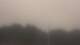 Wayland, Massachusetts 10.07.2025 07:34