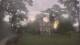 Richmond, Virginia 29.04.2025 07:34