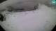 Bovec 17.03.2025 07:15