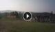 Lavarone 09.06.2025 07:16