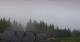 Bad Kohlgrub 17.04.2025 07:16