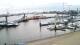 Delfzijl 15.06.2025 07:16