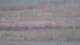 Les Landes-Genusson 15.06.2025 07:16