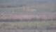 Les Landes-Genusson 09.06.2025 07:16