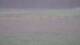 Les Landes-Genusson 15.06.2025 07:16