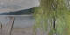 Annenheim 09.06.2025 07:59