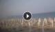 Paestum 15.06.2025 07:16