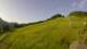 Sonnleitn 14.06.2025 07:04