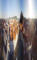 Graz 30.04.2025 07:06