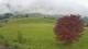 Abtenau 22.04.2025 07:17