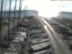 San Benedetto del Tronto 11.07.2025 07:48