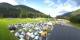 Ulrichen 13.07.2025 07:59