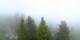 Arosa 09.06.2025 07:03
