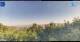 Gorga 11.05.2025 07:18