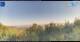 Gorga 30.04.2025 07:18