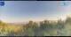 Gorga 01.05.2025 07:18