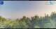 Gorga 09.06.2025 07:18