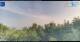 Gorga 14.06.2025 07:18