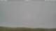 Carinish 09.07.2025 07:18