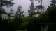 Narva-Jõesuu 05.07.2025 07:18