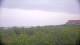 Zuydcoote 09.06.2025 07:19