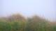 Zuydcoote 30.04.2025 07:19