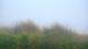 Zuydcoote 30.04.2025 07:19