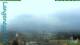 Langenegg 08.07.2025 07:19