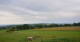 Grebenhain 11.07.2025 07:20