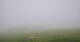 Grebenhain 15.06.2025 07:20