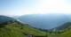 Donnersbachwald 03.07.2025 07:20