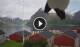 Hamnøy 02.07.2025 07:21