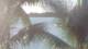 Pointe aux Canonniers 01.05.2025 07:22