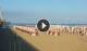 Marina di Pietrasanta 13.05.2025 07:22