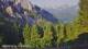 Schwangau 15.06.2025 07:23