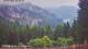Schwangau 09.07.2025 07:22