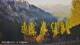 Schwangau 01.05.2025 07:23