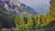 Schwangau 09.06.2025 07:23