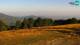 Pamparato 15.07.2025 07:29