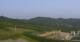 Cerretto Langhe 09.06.2025 07:25